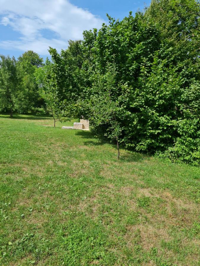 Apartman Poznanovic Leilighet Rakovica Eksteriør bilde